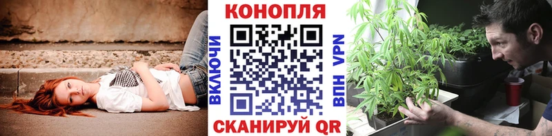 Марихуана ГИДРОПОН  Купить закладки  Зверево 